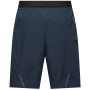 Spodenki męskie Salewa Pedroc 4 Dst Cargo Short M