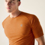 Koszulka męska Dare 2b Power Up Tee