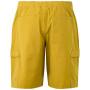 Męskie szorty Regatta Mallen Shorts