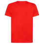 Koszulka męska La Sportiva Cross Section T-Shirt M