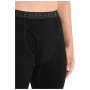 Męskie kalesony Icebreaker M 260 Tech Leggings wFly