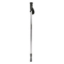 Kijek trekkingowy Regatta AS Walk Pole II srebrny Silver