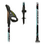 Kijek Nordic walking Fizan R-Evolution