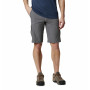 Męskie szorty Columbia Silver Ridge™ II Cargo Short