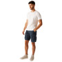 Męskie szorty Regatta Shorebay Shorts II