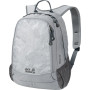 Plecak Jack Wolfskin Perfect Day 22 zarys LeafGray