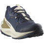 Buty męskie Salomon Elixir Gore-Tex