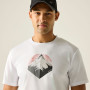 Koszulka męska Regatta Fingal Graphic T-Shirt