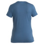 Damska koszulka Icebreaker Women Merino 150 Tech Lite III SS Tee Mountain Lines