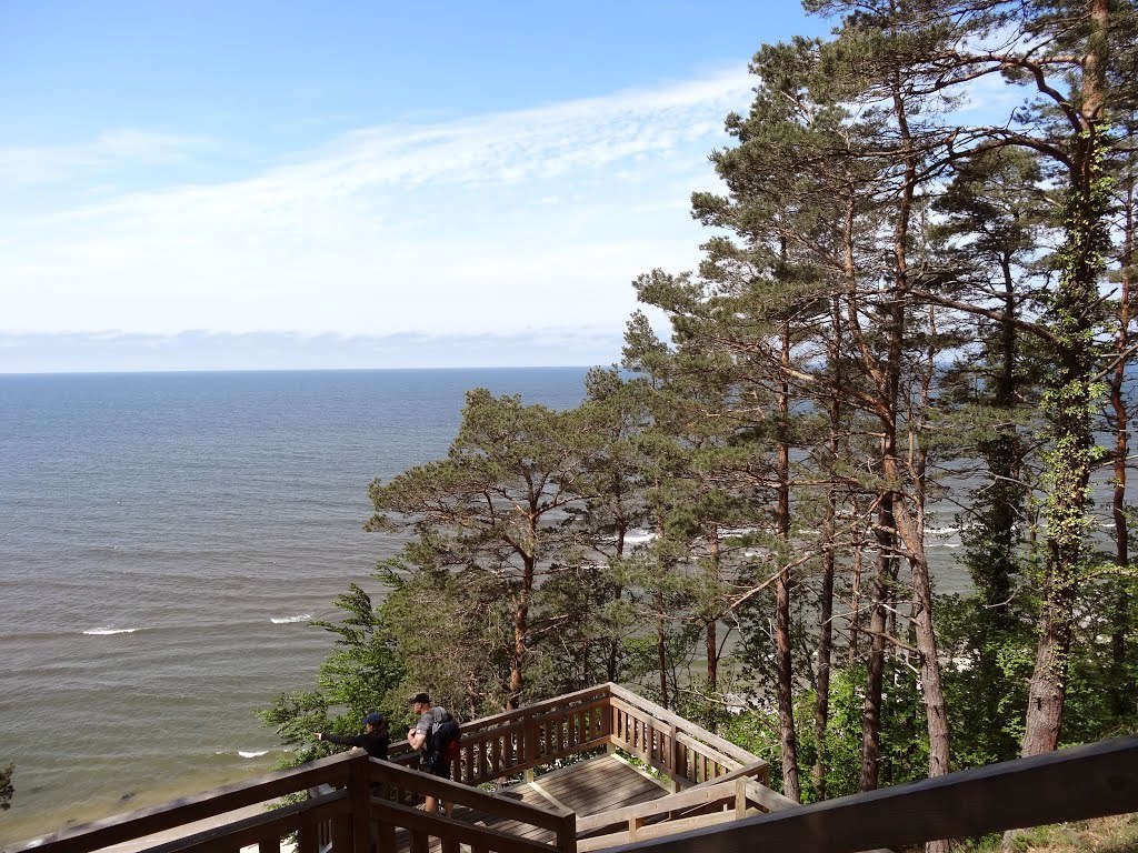 Meandry rzeki widziane z góry